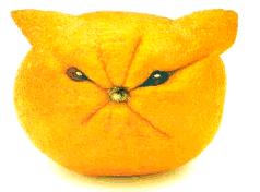http://www.kristynicole.com/wp-content/uploads/sour-face-lemon.JPG
